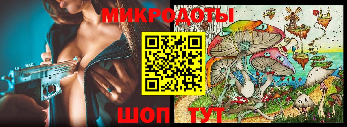 Галлюциногенные грибы Psilocybe Тайшет